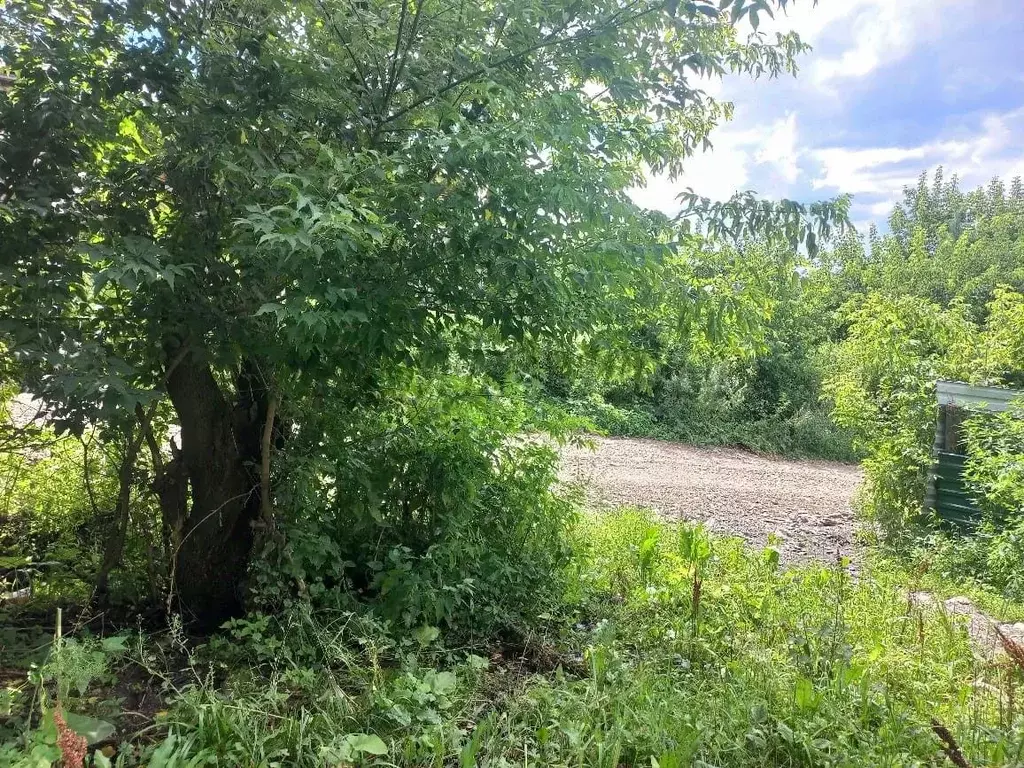 Участок в Алтай, Майминский район, с. Кызыл-Озек ул. Окулич-Казариной, ... - Фото 2