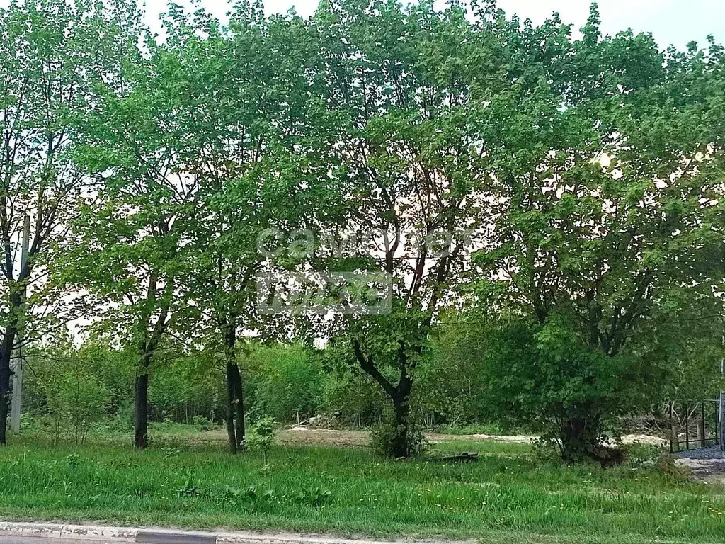 Участок в Рязанская область, Рязань Ситниковская ул. (5.94 сот.) - Фото 1