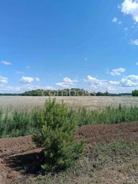 Участок в Тюменская область, Тюменский район, с. Кулига, Кулига-2 мкр  ... - Фото 1