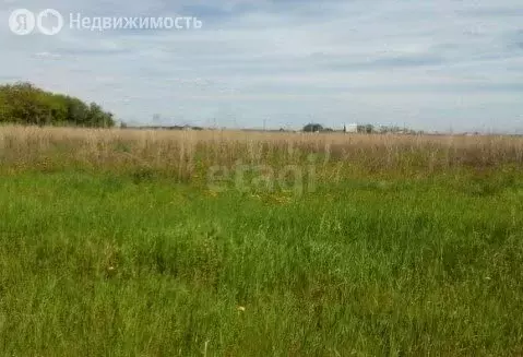 Участок в Омский район, село Пушкино (15 м) - Фото 1