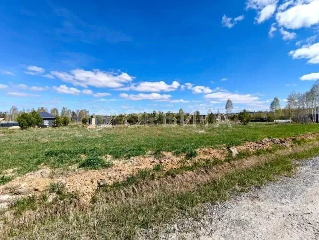 Участок в Тюменская область, Нижнетавдинский муниципальный округ, ... - Фото 2