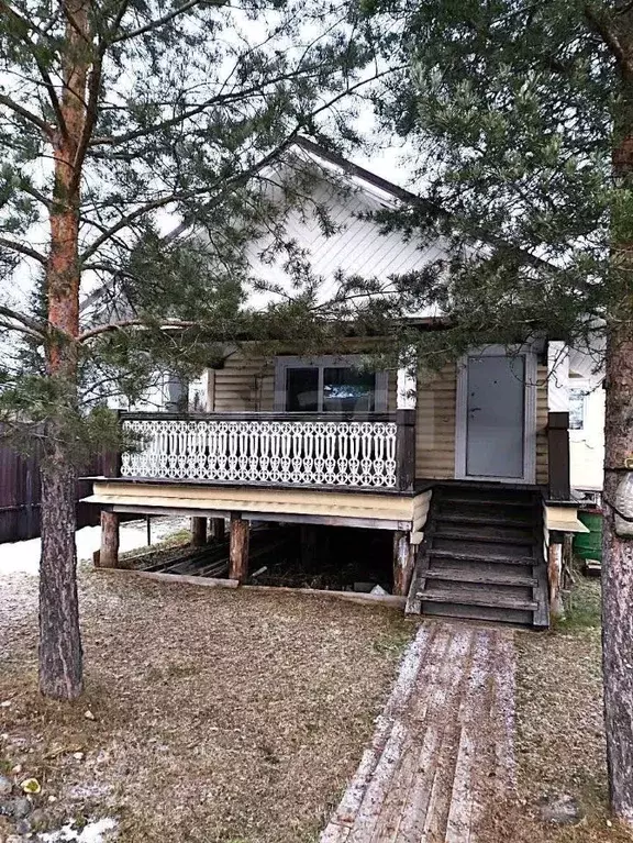 Участок в Архангельская область, Приморский муниципальный округ, Ильма ... - Фото 1