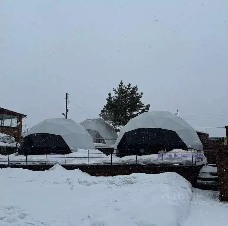 Дом в Алтай, Майминский район, с. Соузга Трактовая ул., 74 (28 м) - Фото 2