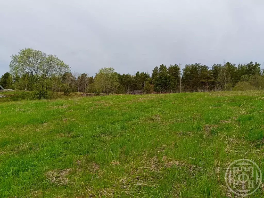 Участок в Карелия, Лахденпохский муниципальный округ, пос. Харвиа  ... - Фото 2