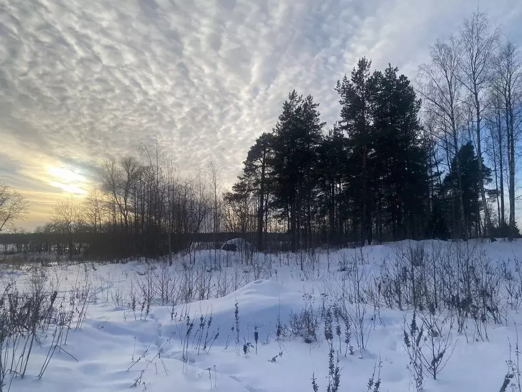 Участок в Ленинградская область, Выборг Поселок Кировские дачи,  (20.0 ... - Фото 1