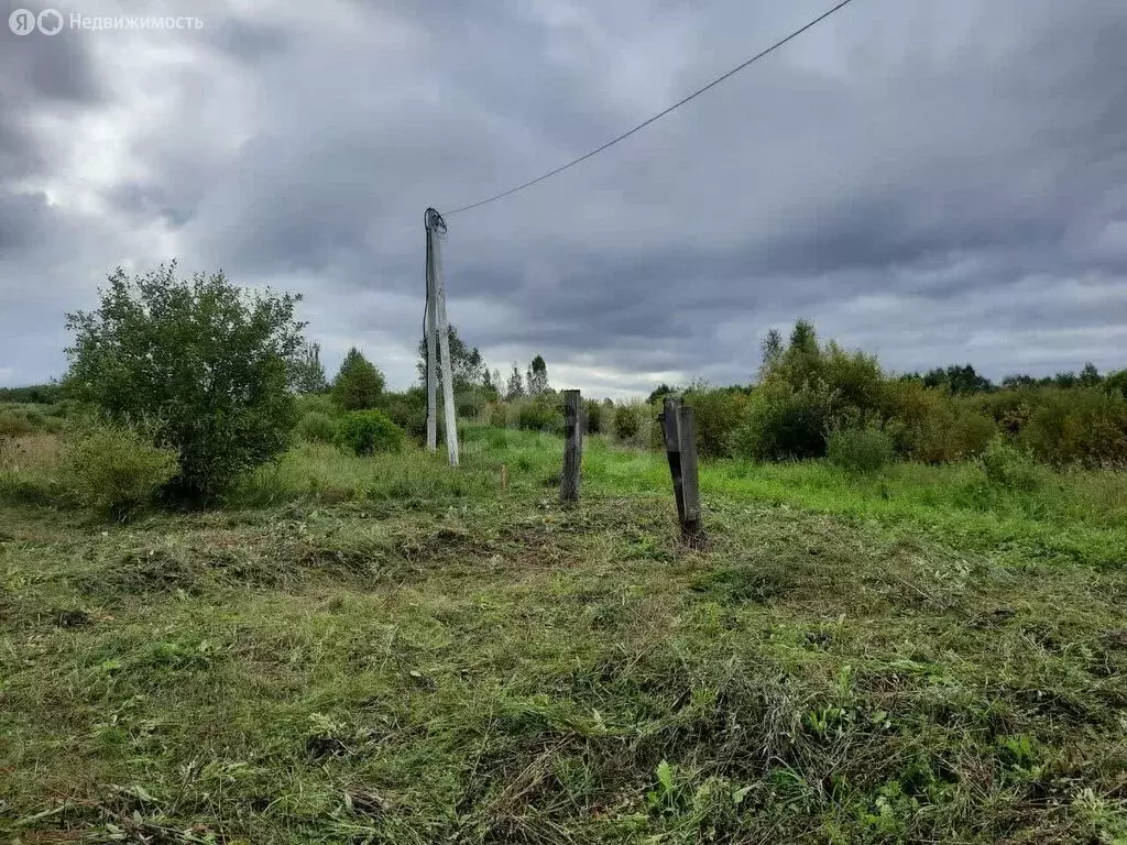 Участок в Тюменский муниципальный округ, СНТ Черёмушки-2, Вишнёвая ... - Фото 2