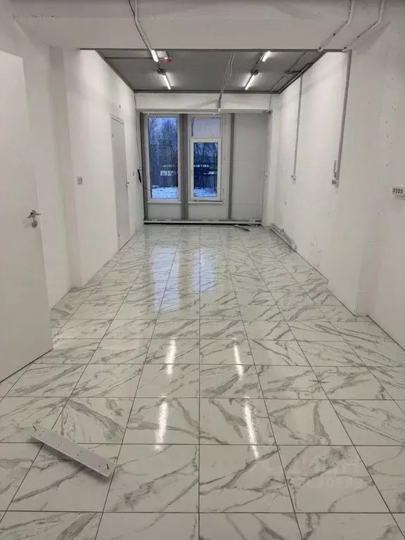 Помещение свободного назначения в Санкт-Петербург Дальневосточный ... - Фото 1