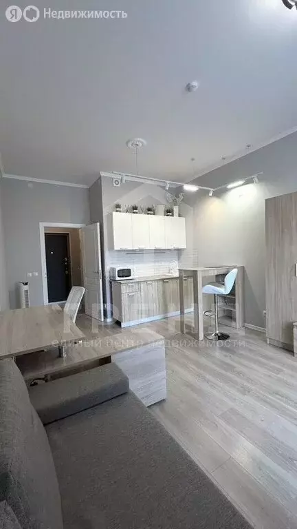 Квартира-студия: Шушары, улица Нины Петровой, 6к1 (23.8 м) - Фото 1