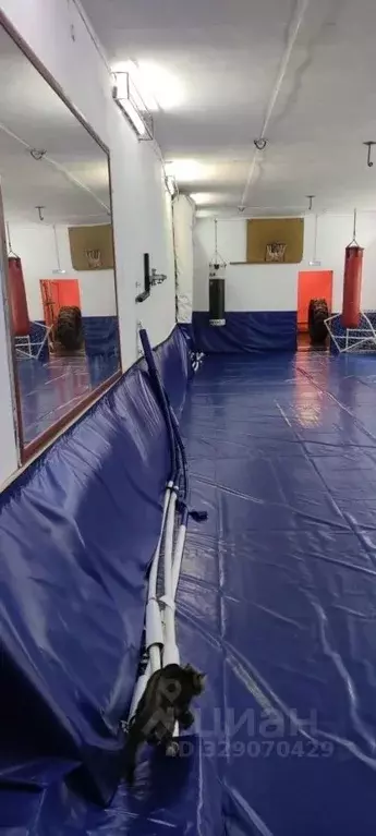 Помещение свободного назначения в Новосибирская область, Искитим ... - Фото 1