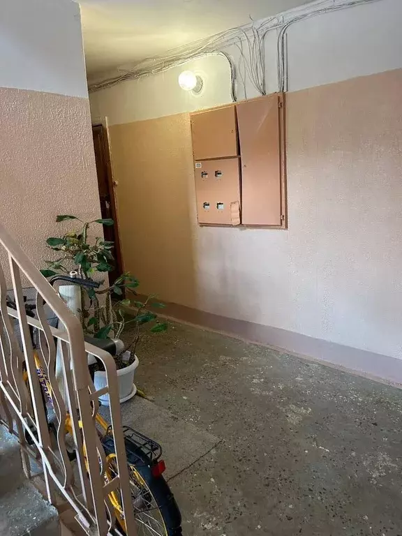 1-к кв. Санкт-Петербург, Санкт-Петербург, Пушкин ул. Генерала Хазова, ... - Фото 2