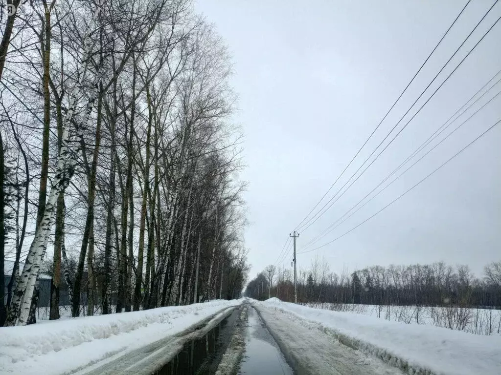 Участок в Московская область, Раменский муниципальный округ, СНТ Ясная ... - Фото 1