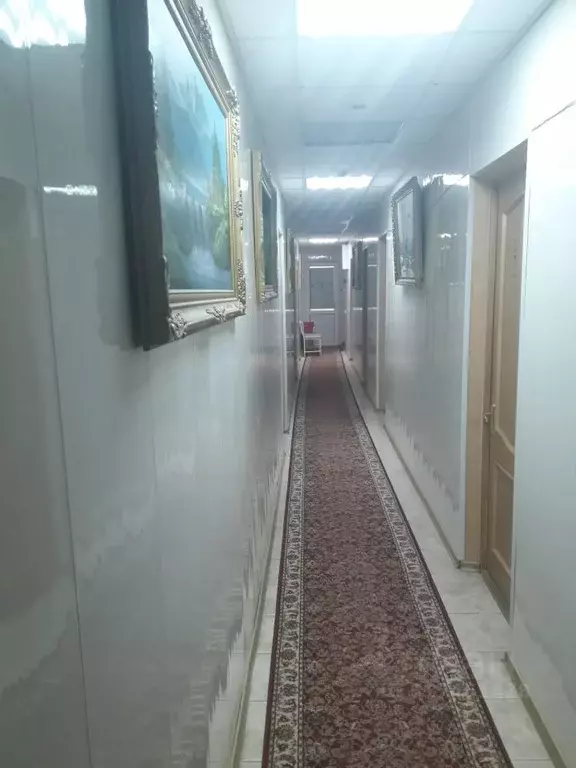 Помещение свободного назначения в Владимирская область, Владимир ул. ... - Фото 1