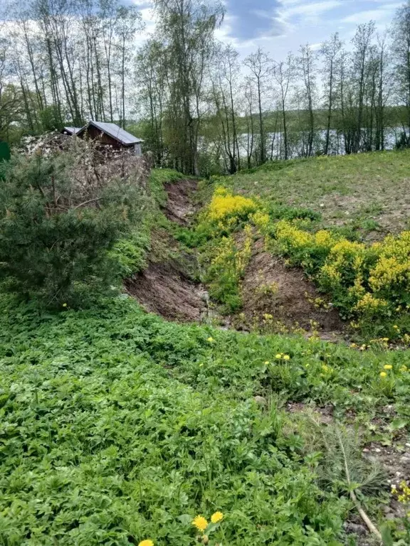 Участок в Новгородская область, Новгородский район, Савинское с/пос, ... - Фото 1
