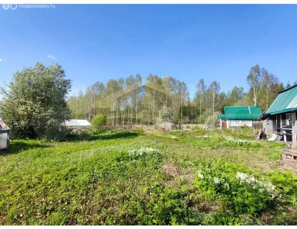 Дом в Березники, СНТ № 61, 113 (18.6 м) - Фото 2