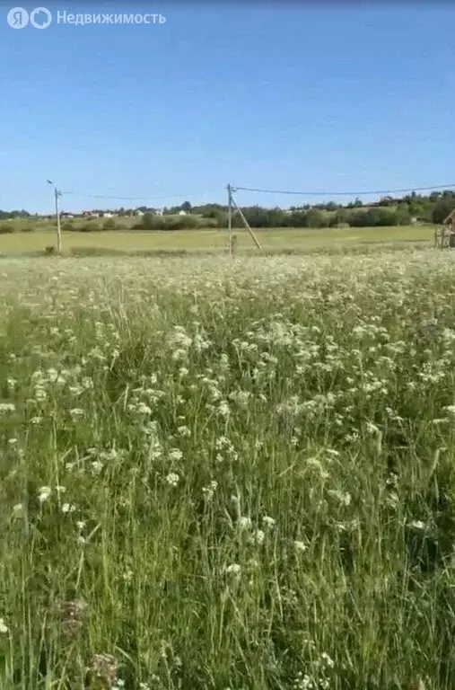 Участок в Аннинское городское поселение, коттеджный посёлок Аннинская ... - Фото 2