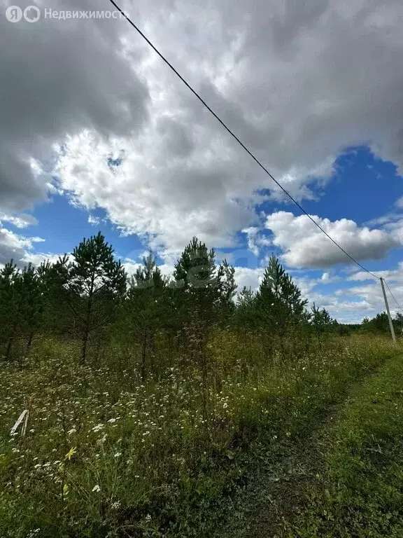 Участок в Нижнетавдинский район, село Черепаново (9.63 м) - Фото 1