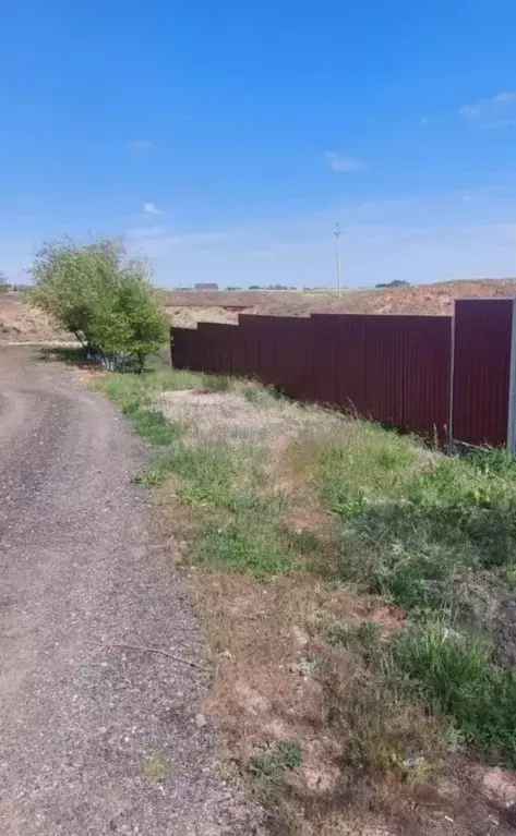 Участок в Волгоградская область, Дубовка ул. Имени Ломоносова, 12А ... - Фото 0