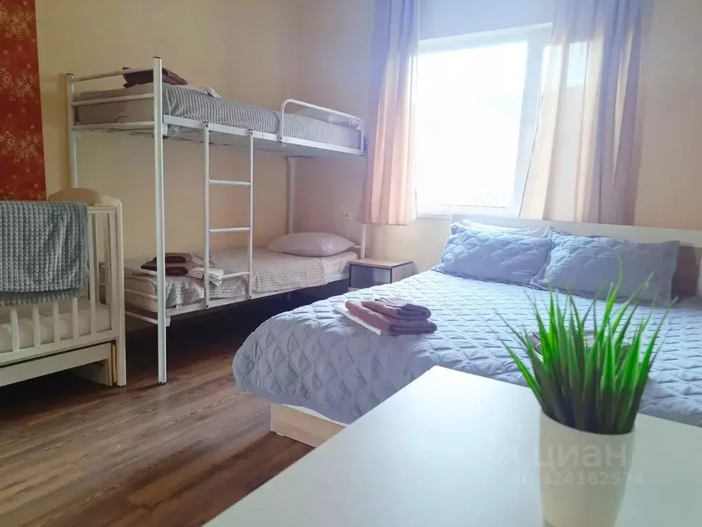 Комната Краснодарский край, Геленджик ул. Декабристов, 15 - Фото 1