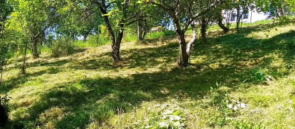 Участок в Краснодарский край, Сочи городской округ, с. ... - Фото 0
