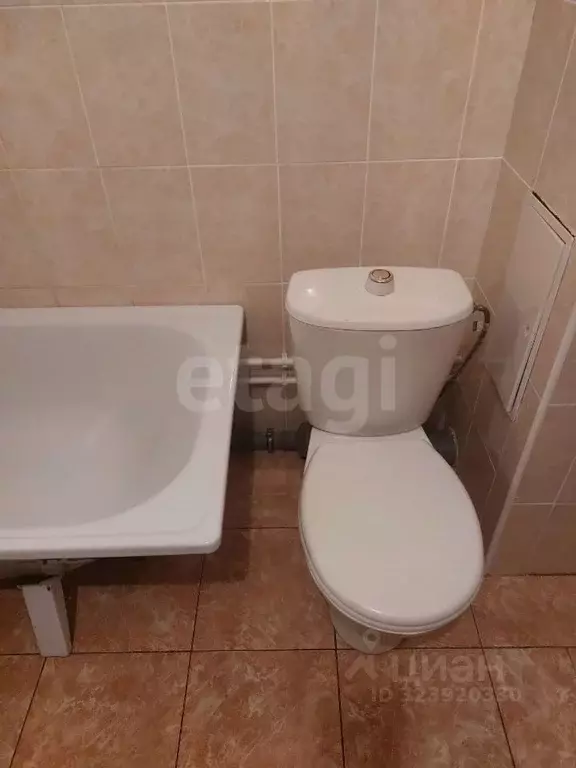 1-к кв. Новосибирская область, Новосибирск ул. Петухова, 95/4 (33.0 м) - Фото 1