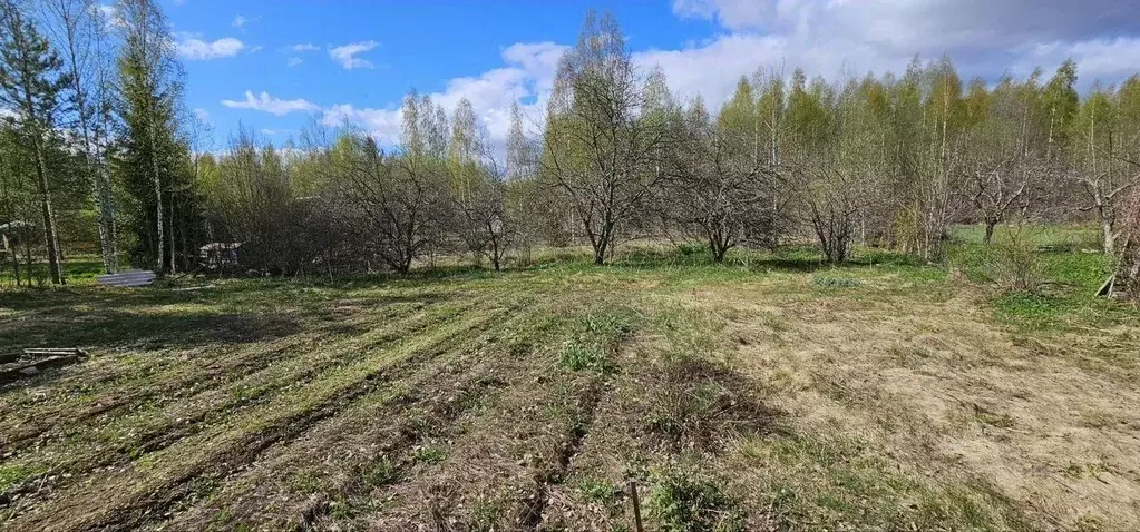 Участок в Ленинградская область, Лужский район, Заклинское с/пос, ... - Фото 1