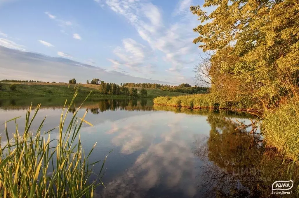 Участок в Тульская область, Ясногорский район, Теляковское с/пос, д. ... - Фото 2