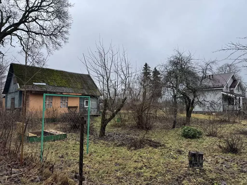 Дом в Ленинградская область, Ломоносовский район, Лопухинское с/пос, ... - Фото 1