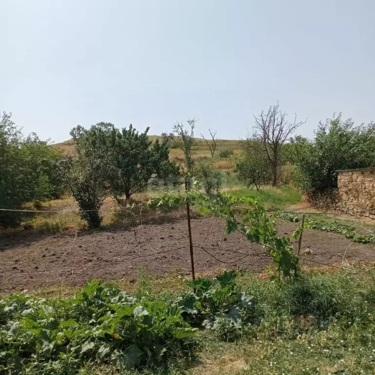 Дом в Ставропольский край, Петровский муниципальный округ, с. Донская ... - Фото 2
