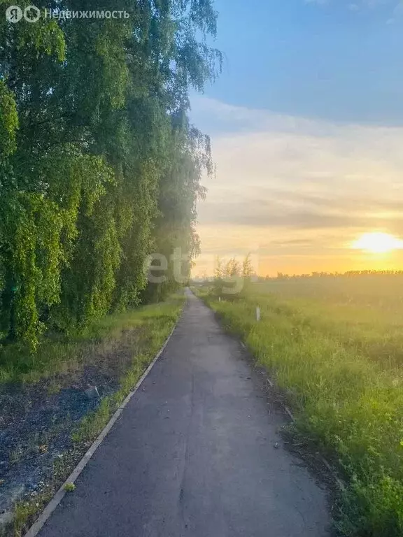 Участок в Липецкий муниципальный округ, село Ленино (7.2 м) - Фото 0