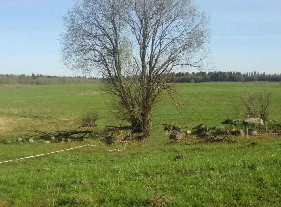 Участок в Ленинградская область, Ломоносовский район, Гостилицкое ... - Фото 0