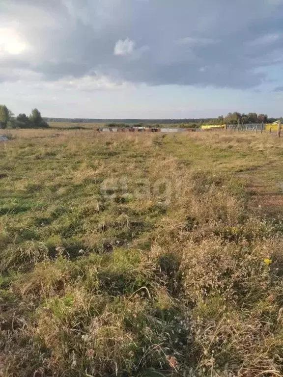 участок в челябинская область, аргаяшский район, пос. худайбердинский . - Фото 0