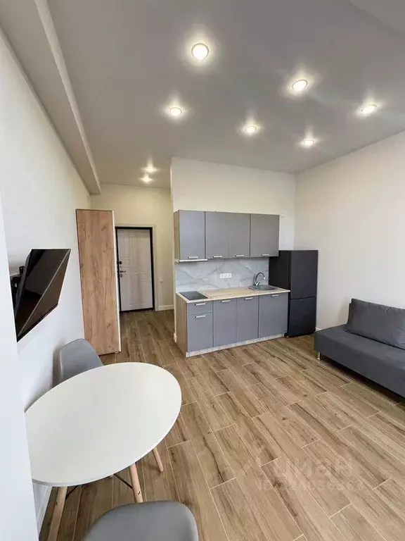 Студия Краснодарский край, Сочи Пластунская ул., 188 (24.0 м) - Фото 1