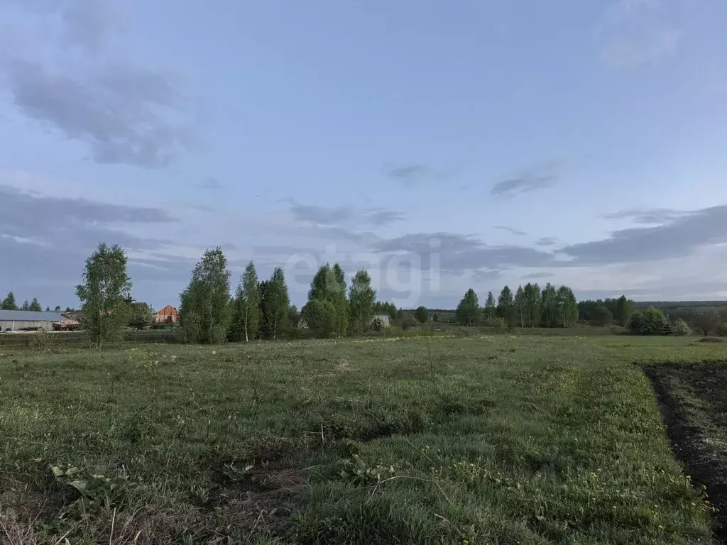 Участок в Мордовия, Лямбирский район, Протасовское с/пос, д. Анучино ... - Фото 2