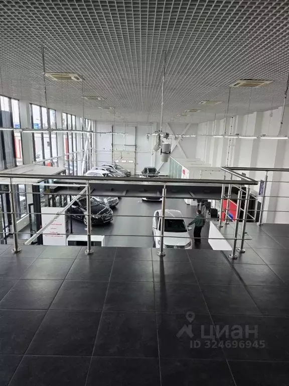 Помещение свободного назначения в Ленинградская область, Кудрово г. ... - Фото 1