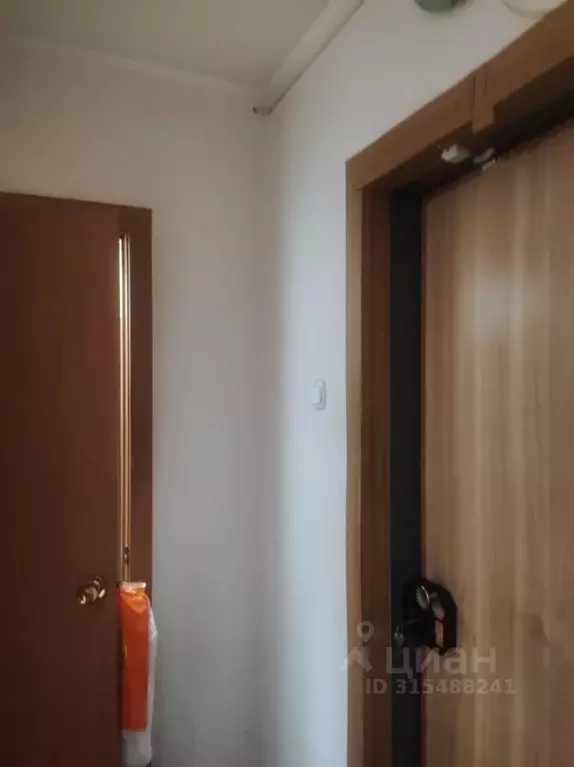 1-к кв. Красноярский край, Красноярск ул. Академгородок, 17А (27.1 м) - Фото 1