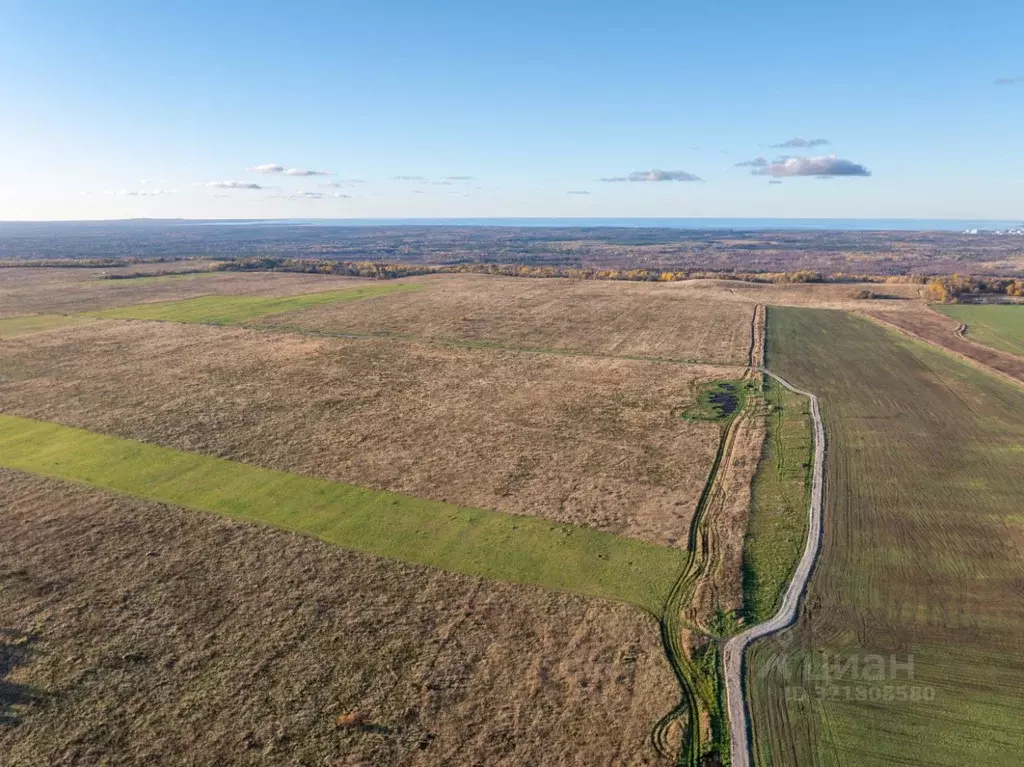 Участок в Ленинградская область, Ломоносовский район, Копорское с/пос  ... - Фото 1