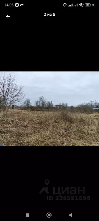 Участок в Новгородская область, Новгородский район, Савинское с/пос, ... - Фото 1