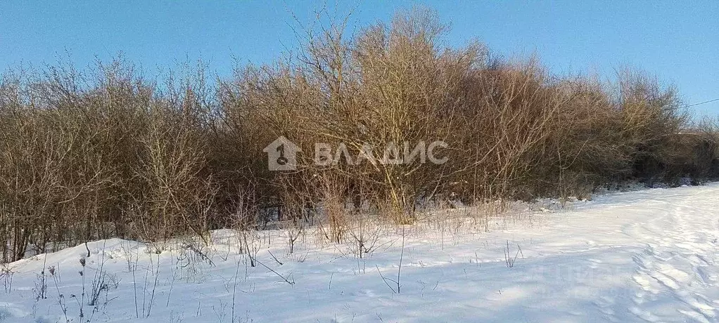 Участок в Белгородская область, Белгородский район, Дубовское с/пос, ... - Фото 0
