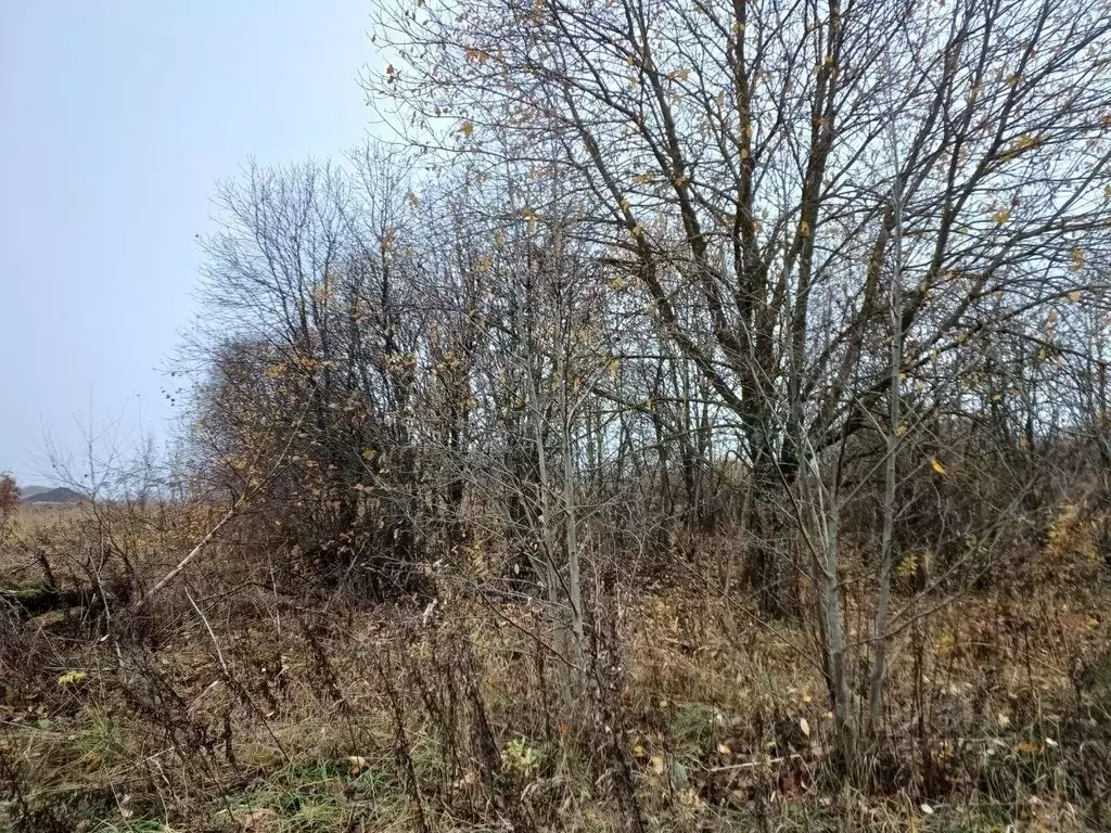 Участок в Московская область, Сергиево-Посадский городской округ, д. ... - Фото 1