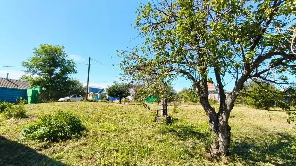 Дом в Татарстан, Камско-Устьинский район, Красновидовское с/пос, д. ... - Фото 1