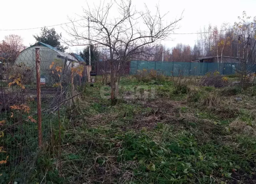Участок в Ленинградская область, Ломоносовский район, Виллозское ... - Фото 1