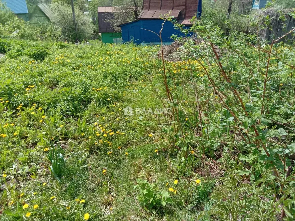 Дом в Владимирская область, Суздальский муниципальный округ, Южный СНТ ... - Фото 2