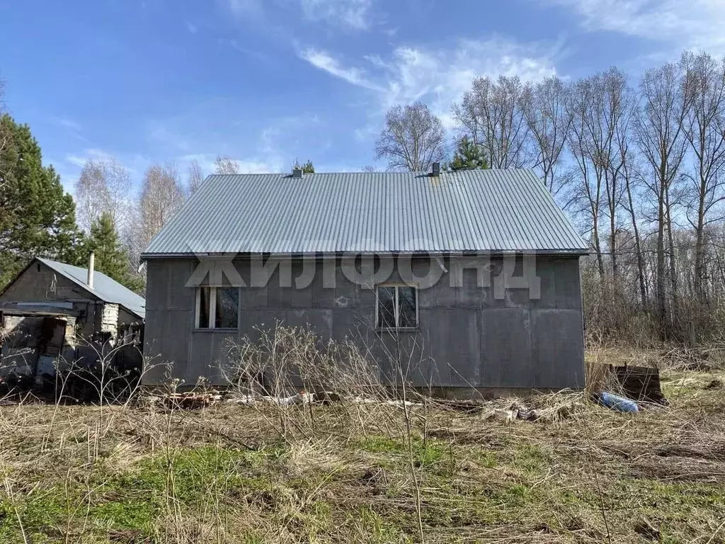Дом в Новосибирская область, Мошковский район, с. Сокур ул. Мурашкина ... - Фото 1