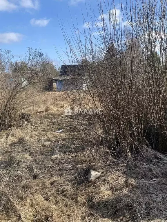 Участок в Ленинградская область, Гатчинский муниципальный округ, ... - Фото 2