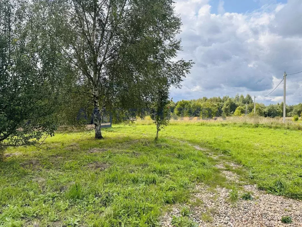 Участок в Ярославская область, Переславль-Залесский муниципальный ... - Фото 1