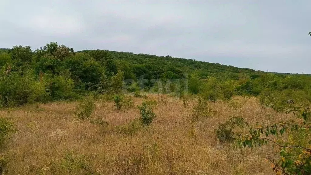 Участок в Крым, Кировский район, Старый Крым городское поселение ул. ... - Фото 1