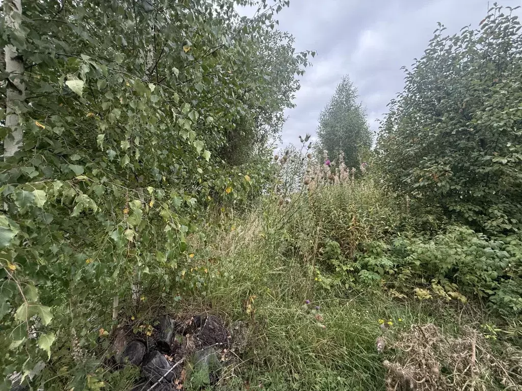 Участок в Московская область, Кашира городской округ, д. Завалье-2  ... - Фото 1