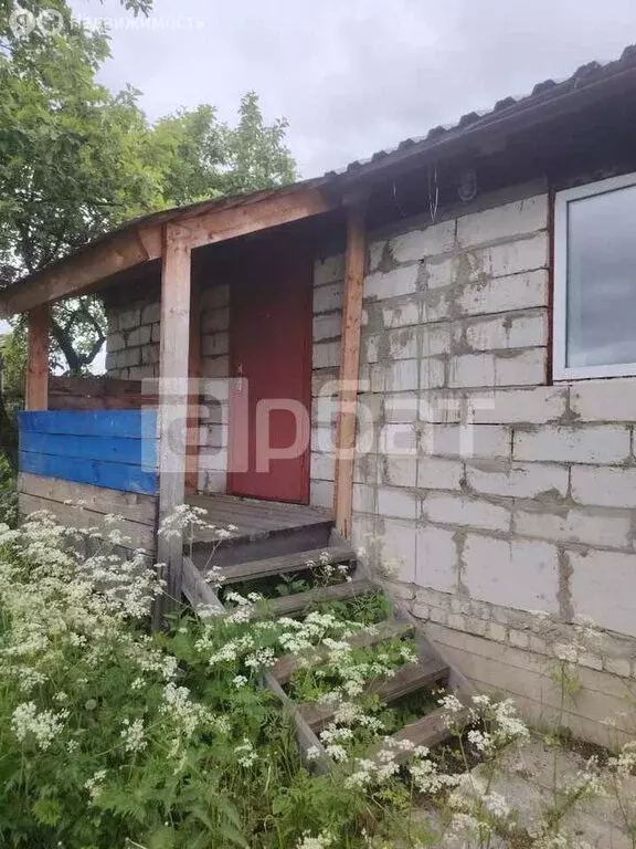 Дом в Буй, улица Калинина, 50 (43 м) - Фото 0