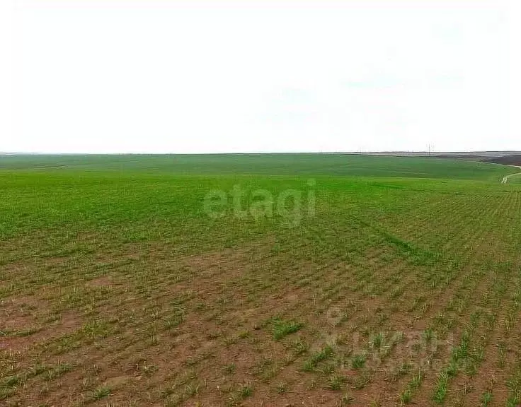 Участок в Оренбургская область, Оренбург  (237.56 сот.) - Фото 2