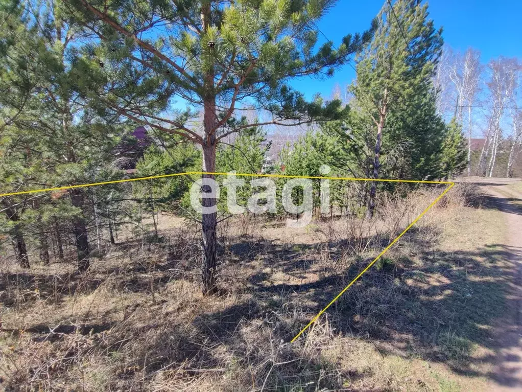 Участок в Красноярский край, Красноярск Ветеран-6 СНТ, 142 (13.1 сот.) - Фото 1